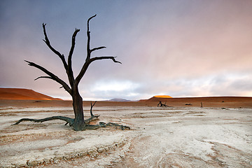 Image showing Deadvlei