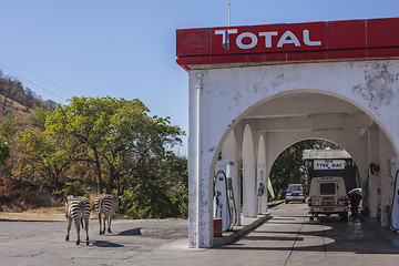 Image showing Zebra pitstop