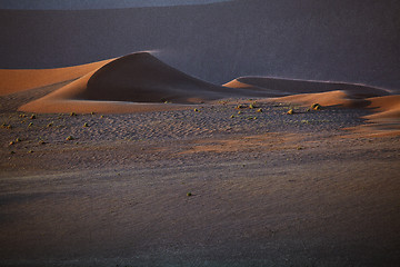 Image showing Sand Dune