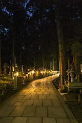 Image showing Grave yard path lit up