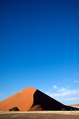 Image showing Sand Dune