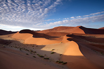 Image showing Sand Dunes