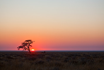 Image showing Namibian Sun rise