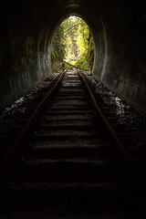 Image showing Hidden tunnel