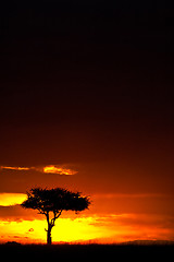 Image showing African Sunset