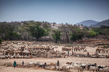 Image showing Kenyan scene