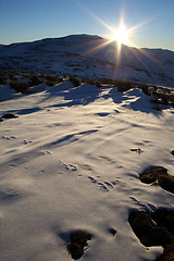 Image showing Snow 