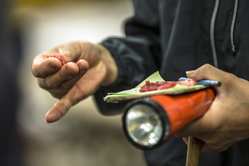 Image showing Tuna Testing