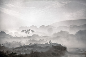 Image showing Sand Storm