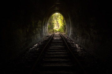 Image showing Hidden Tunnel