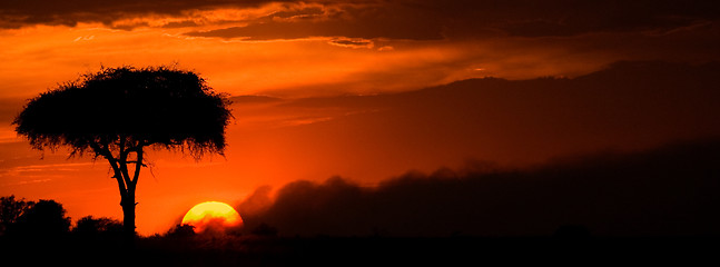 Image showing African sunset