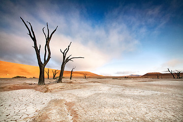 Image showing Deadvlei