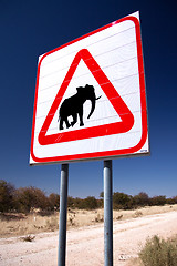 Image showing Caution Elephants