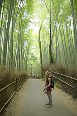 Image showing Bamboo Grove