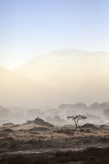 Image showing Sand storm