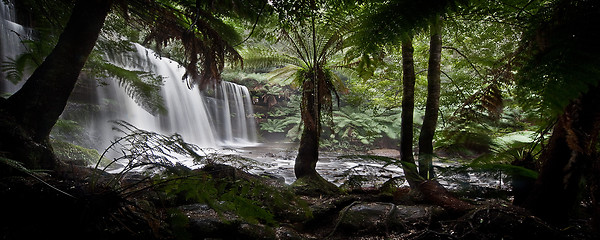 Image showing Waterfall