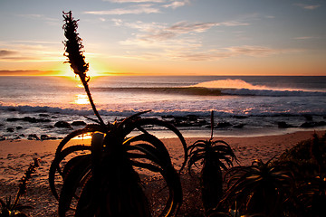 Image showing Surfing wave