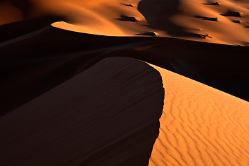 Image showing Sand Dune