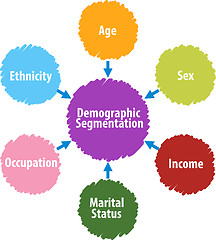 Image showing Demographic segmentation business diagram illustration