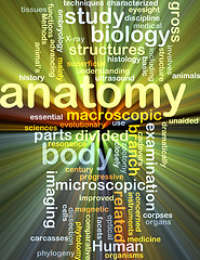 Image showing anatomy wordcloud concept illustration glowing