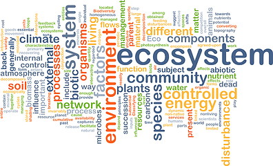 Image showing ecosystem wordcloud concept illustration