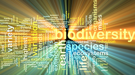 Image showing biodiversity wordcloud concept illustration glowing