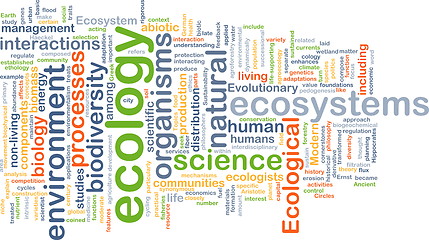 Image showing ecology wordcloud concept illustration