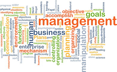 Image showing management wordcloud concept illustration