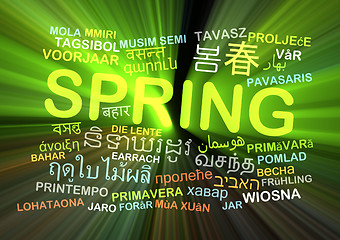 Image showing Spring multilanguage wordcloud background concept glowing