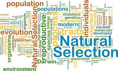 Image showing natural selection wordcloud concept illustration