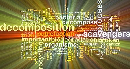 Image showing Decomposition wordcloud concept illustration glowing