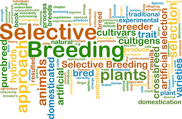 Image showing selective breeding wordcloud concept illustration