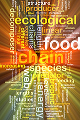 Image showing Food chain wordcloud concept illustration glowing