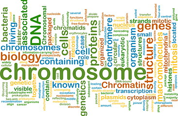 Image showing chromosome wordcloud concept illustration