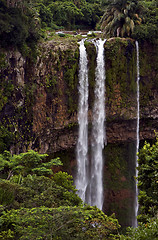 Image showing chamarel falls 