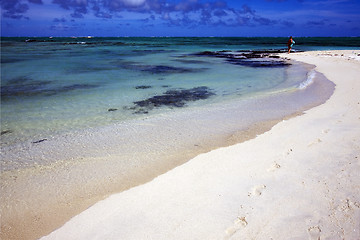 Image showing  footstep in ile du cerfs mauritius