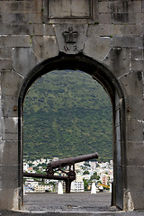 Image showing cannon in fort adelaide mauritius