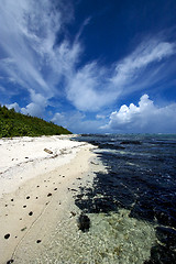 Image showing beach rocks and stones 