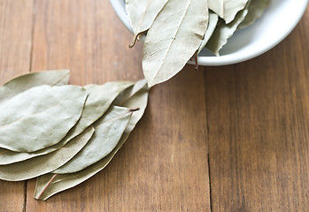 Image showing bay leaves