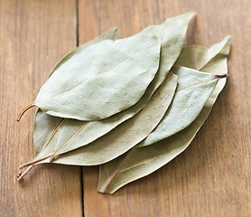 Image showing bay leaves