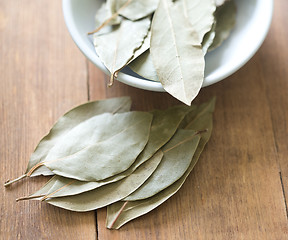 Image showing bay leaves