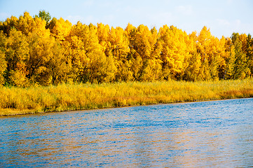 Image showing Autumn River Ural