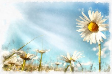 Image showing spring daisy flower field vintage