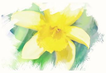 Image showing spring daffodils in garden, vintage watercolor effect