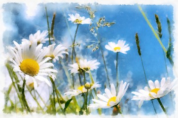 Image showing spring daisy flower field vintage