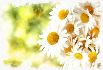 Image showing spring daisy flower field vintage