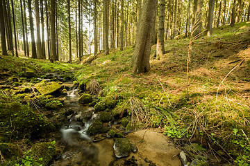 Image showing Falls on the small mountain river in a forest