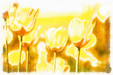 Image showing watercolor akvarel paint effect of spring yellow tulips