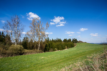 Image showing rural landscape with trees next to meadows