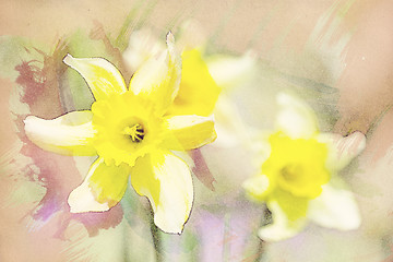 Image showing spring daffodils in garden, vintage watercolor effect